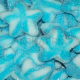 Etoiles twist candie bleue - 1kg