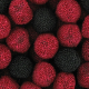 Mûres et framboises perlées (rouges et noires) kg Dulceplus